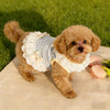 Plaid Lace Pet Dress with Bowknot for Small Dogs and Cats