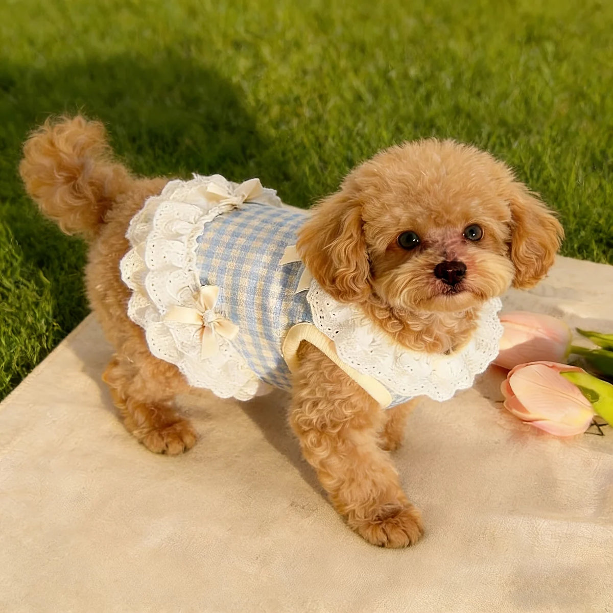 Plaid Lace Pet Dress with Bowknot for Small Dogs and Cats