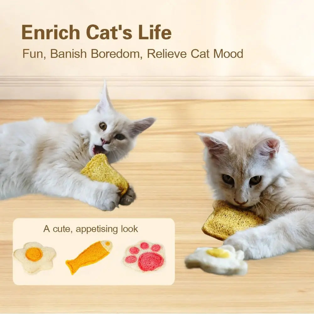 A kitten is playing with a natural loofah cat chew toy, shown next to illustrations of the toy.