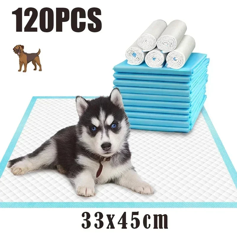 A stack of 120 pet training pads and a puppy next to them on a white mat.