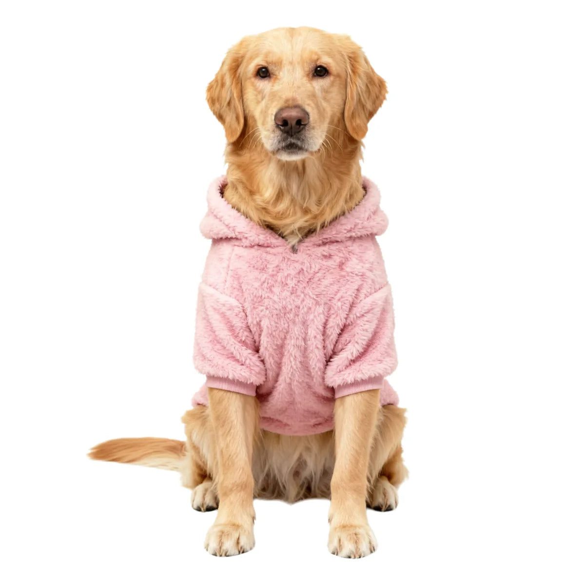 Un golden retriever portant un manteau d'hiver en fausse fourrure rose.