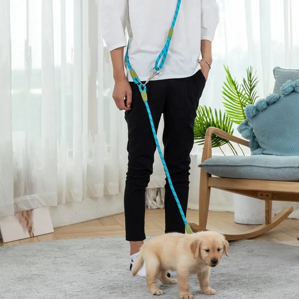 A person holds a blue leash attached to a small golden dog on a light gray rug.