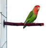 Un loro verde y rojo posado en una rama de madera natural dentro de una jaula de alambre.