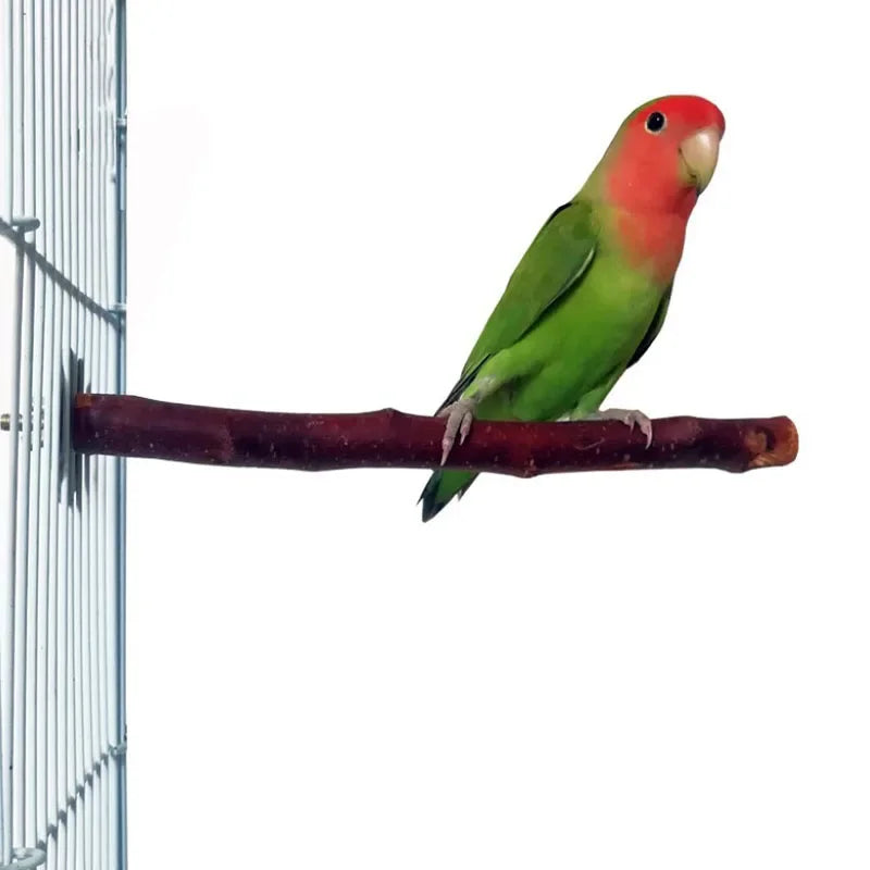 Un loro verde y rojo posado en una rama de madera natural dentro de una jaula de alambre.
