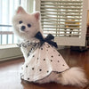 A fluffy white dog wearing an elegant summer pet dress with a black bow and white polka dots.