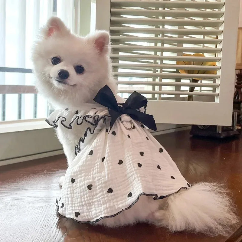 A fluffy white dog wearing an elegant summer pet dress with a black bow and white polka dots.