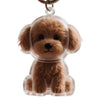 Pet Hair Keepsake Keychain – Memorial Pendant for Dog & Cat Fur