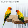 Two yellow and green parrots perched on a wooden platform for play and exercise.