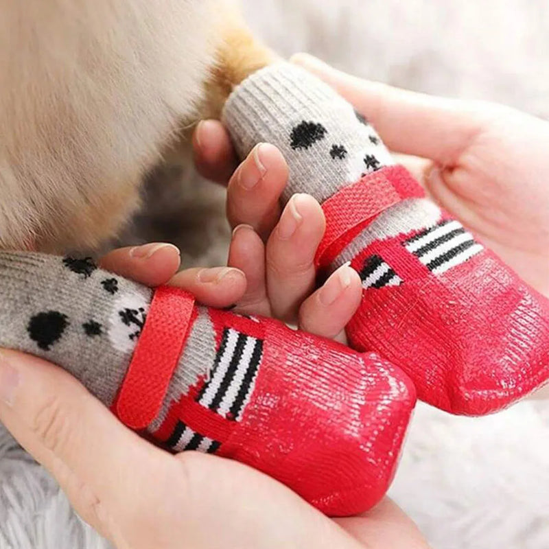 Calcetines Antideslizantes para Perros: Protección para las Patas