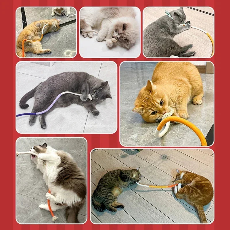 A collection of photos showing a silvervine-infused cotton rope teaser toy being used to interact with various cats.