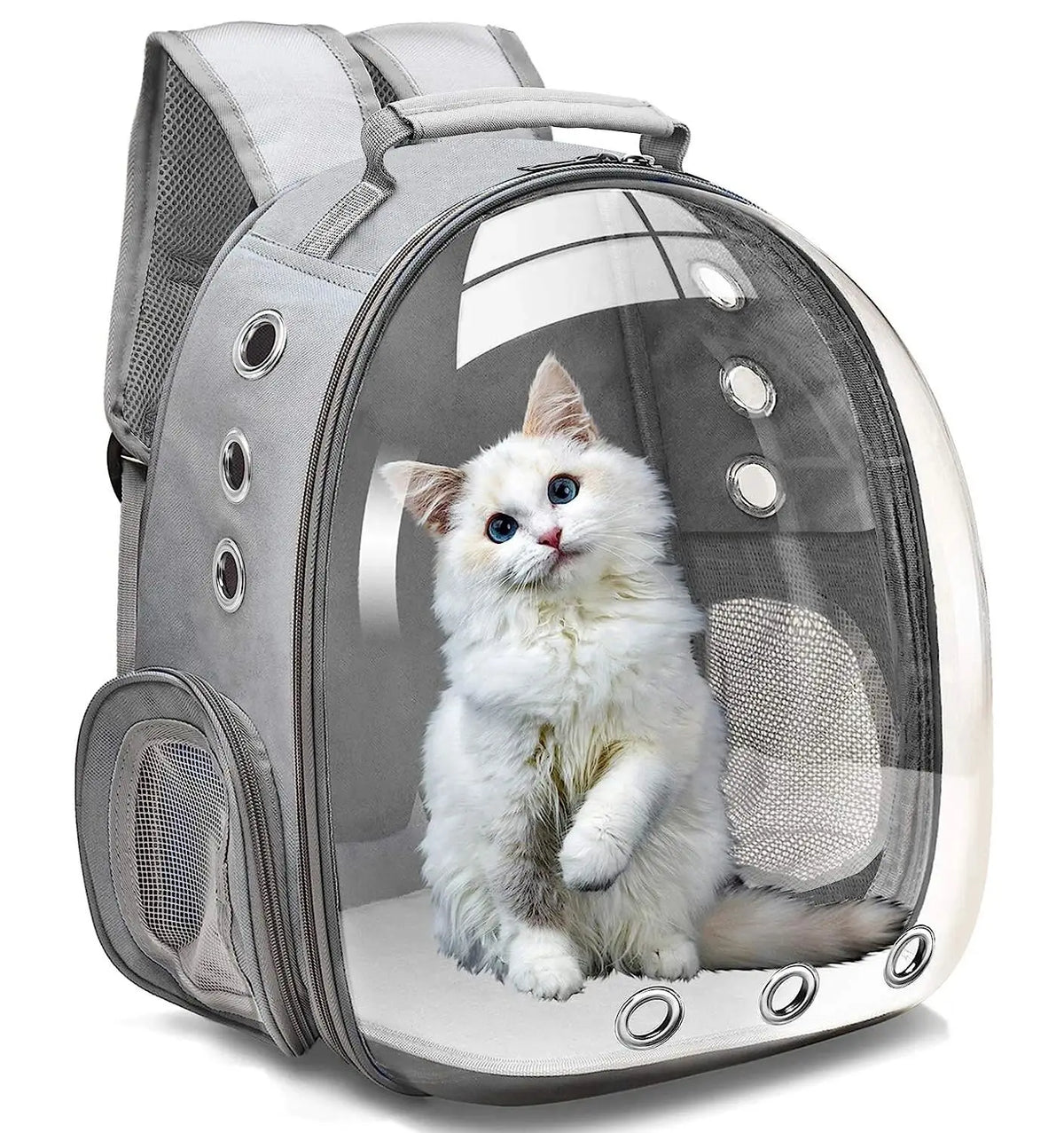 Mochila transportadora de plata con cúpula transparente que permite ver a un gatito blanco dentro.