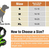 Harnais LED rechargeable pour chien – Sécurité de nuit