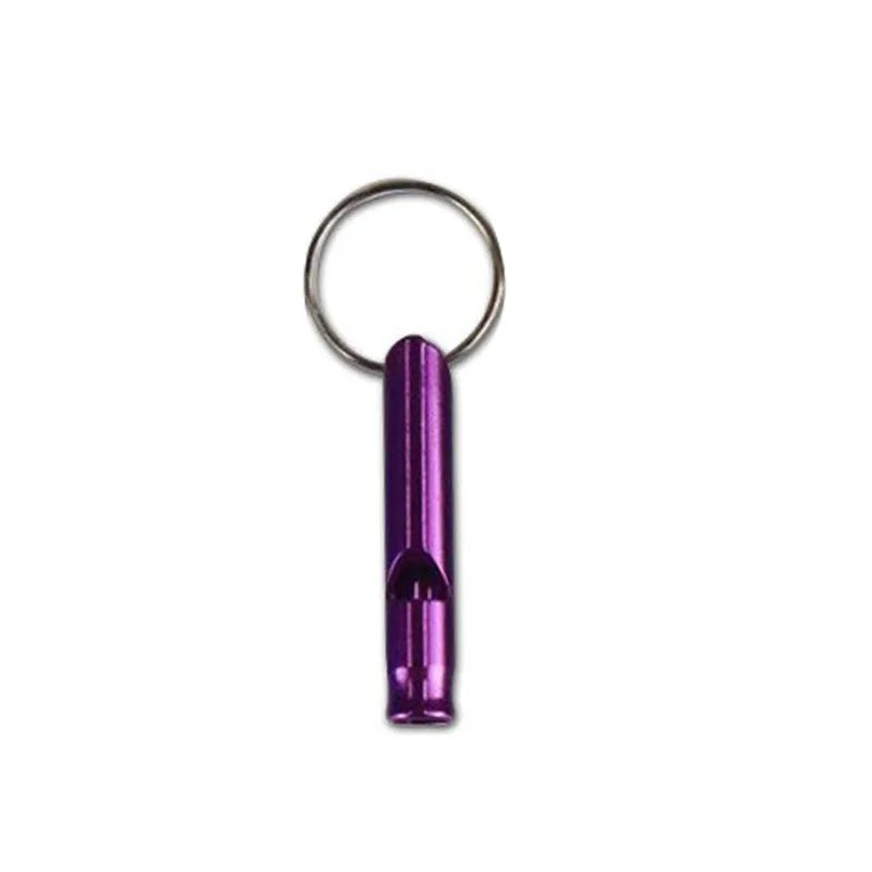 A silver hoop and purple whistle for parrot training.