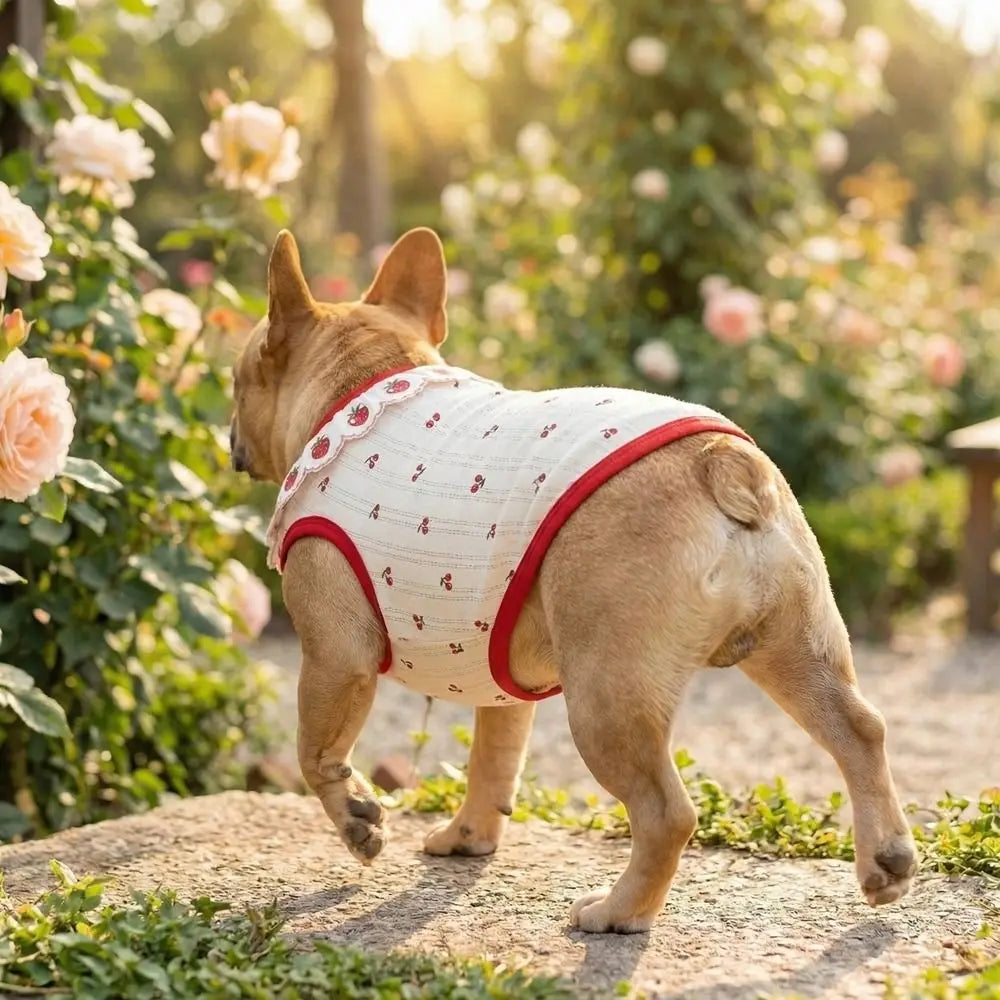 Ruffled Collar Cat Strawberry Vest with Cherry Pattern