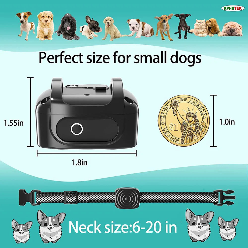 A black rechargeable anti-bark dog collar shown next to various small dogs and a measurement scale.