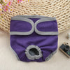 Reusable Dog Diapers for Heat Cycles and Incontinence