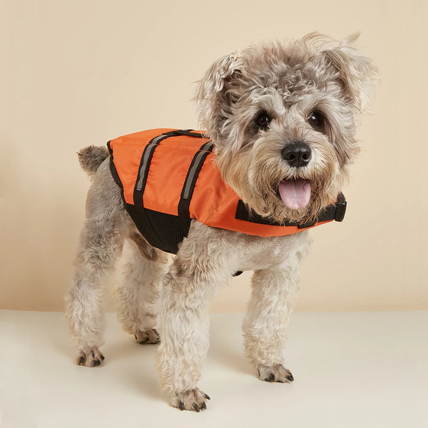 A small, fluffy dog wearing an orange and black life jacket for swimming safety.