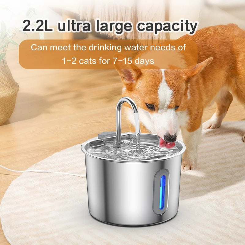 A stainless steel pet water fountain is shown with water flowing, positioned near a dog drinking from it.