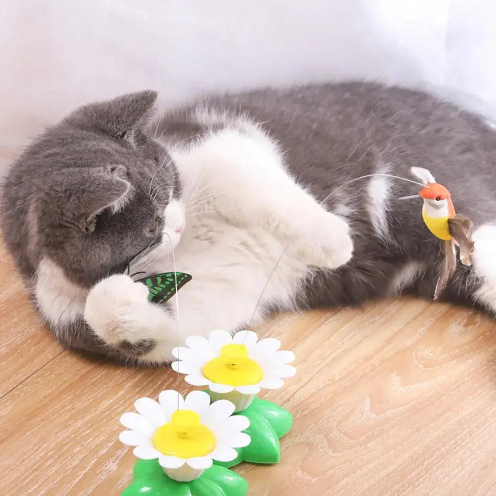 Un chat gris et blanc est allongé à côté d'un petit jouet de chat papillon électrique tournant.
