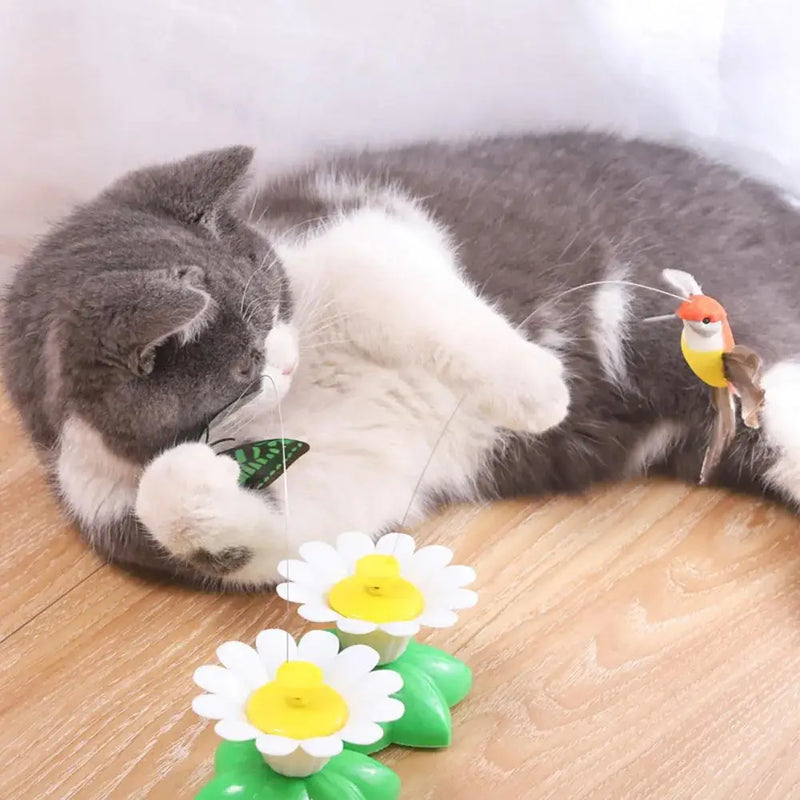 Jouet pour chat électrique rotatif en forme de papillon