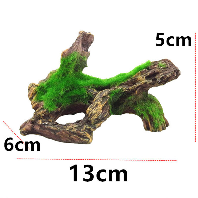 A piece of natural wood with green moss growing on it, used as an aquarium decoration.