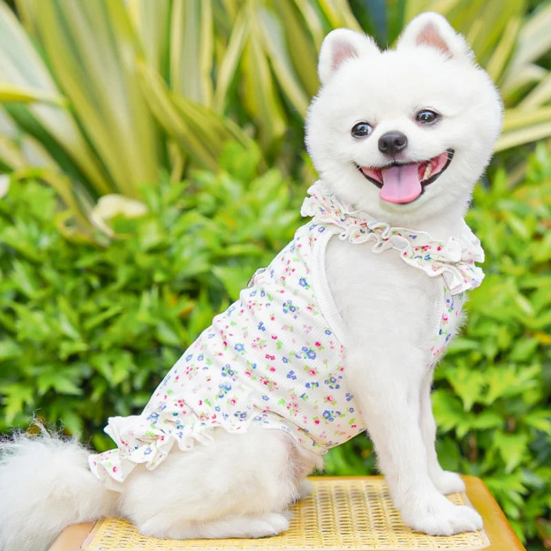 Floral Princess Pet Dress with Heart Print