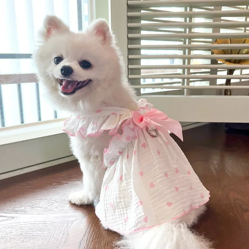A fluffy white dog wearing a pink dress with a heart print and ruffles, standing indoors.