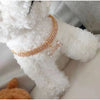 Crystal Rhinestone Dog Collar with Bone Pendant