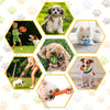 A collection of hexagonal frames showing various interactive squeaky plush dog toys for small and medium breeds.