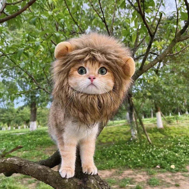 Sombrero de Melena de León para Mascotas