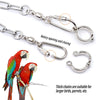 Parrot Leg Ring Anklet Chain for Training