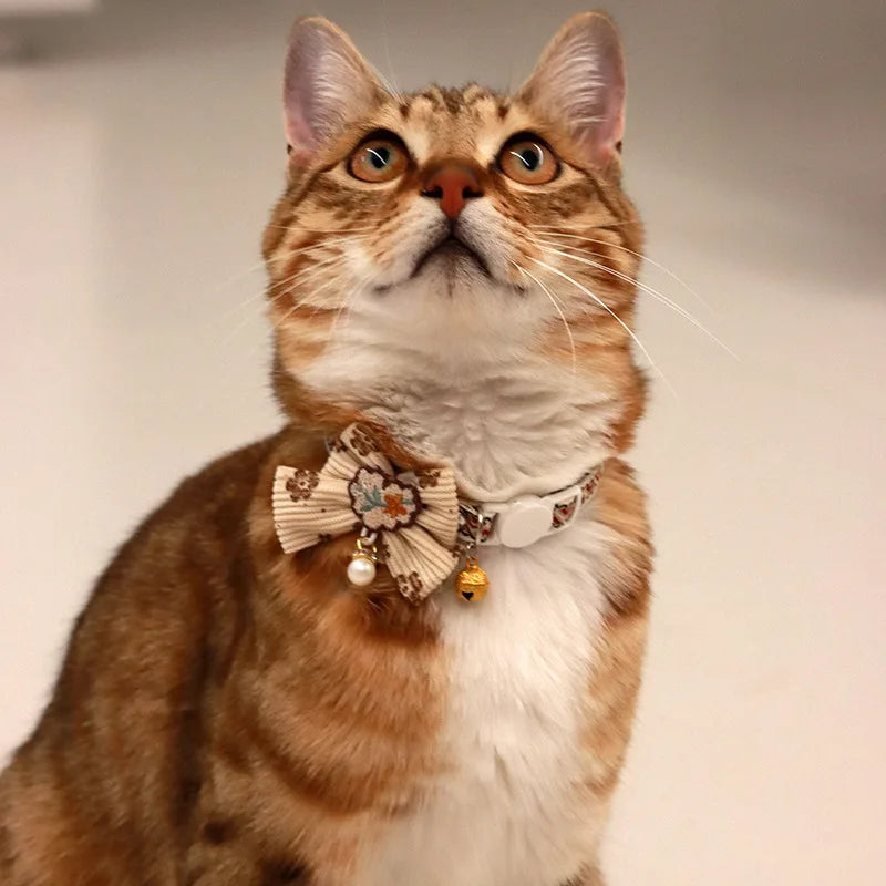A tabby cat wearing a decorative breakaway collar with a bowknot and bell.
