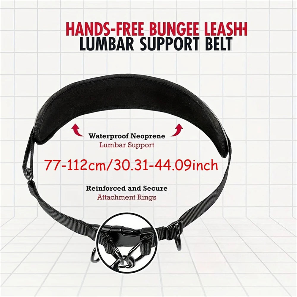Hands-Free Dog Waist Leash with Lumbar Support and Reflective Bungee