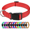 Verstellbares Nylon-Hundehalsband für kleine bis große Rassen
