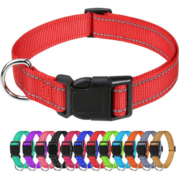 Decorative Nylon Dog Collar with Buckle Closure