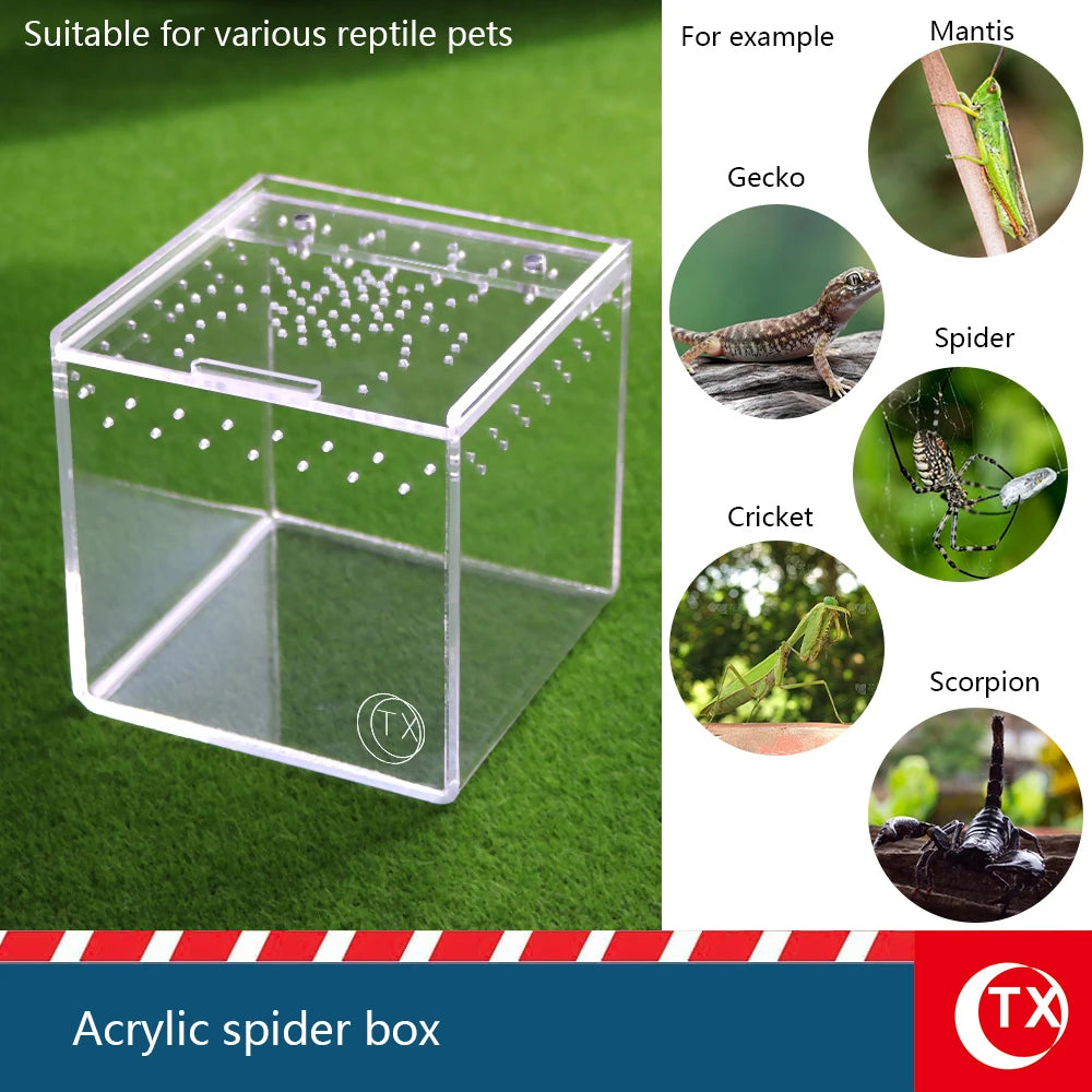Clear acrylic spider box suitable for various reptile pets like geckos, spiders, crickets, and scorpions.