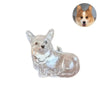 Pet Hair Keepsake Keychain with Transparent Capsule