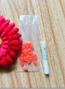 Colorful Soft Silicone Nail Caps for Cats and Dogs with Adhesive