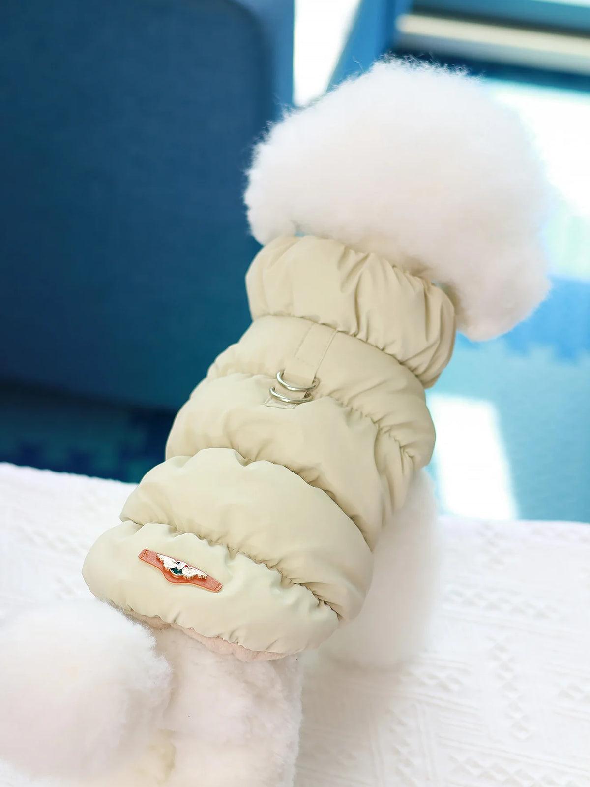 A beige, puffy dog jacket with a white faux fur trim and a small orange tag is displayed against a blue background.