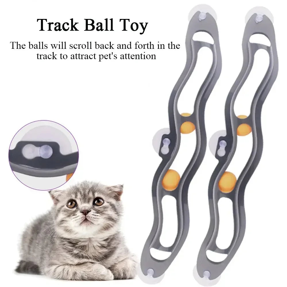 Un chaton gris regarde un jouet balle incurvé conçu pour attirer l'attention des animaux de compagnie.