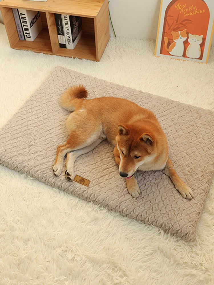Un chien de couleur dorée allongé sur un lit orthopédique beige avec une housse en fausse fourrure.