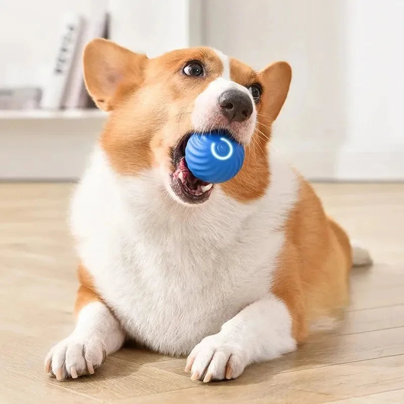 Intelligenter Smart-Ball für Hunde mit zufälliger Bewegung