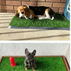 A dog is lying on a green artificial grass mat outdoors, and another dog is standing on a similar mat.