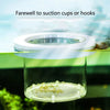 Aquarium Fish Breeding Isolation Box with Suction Cups
