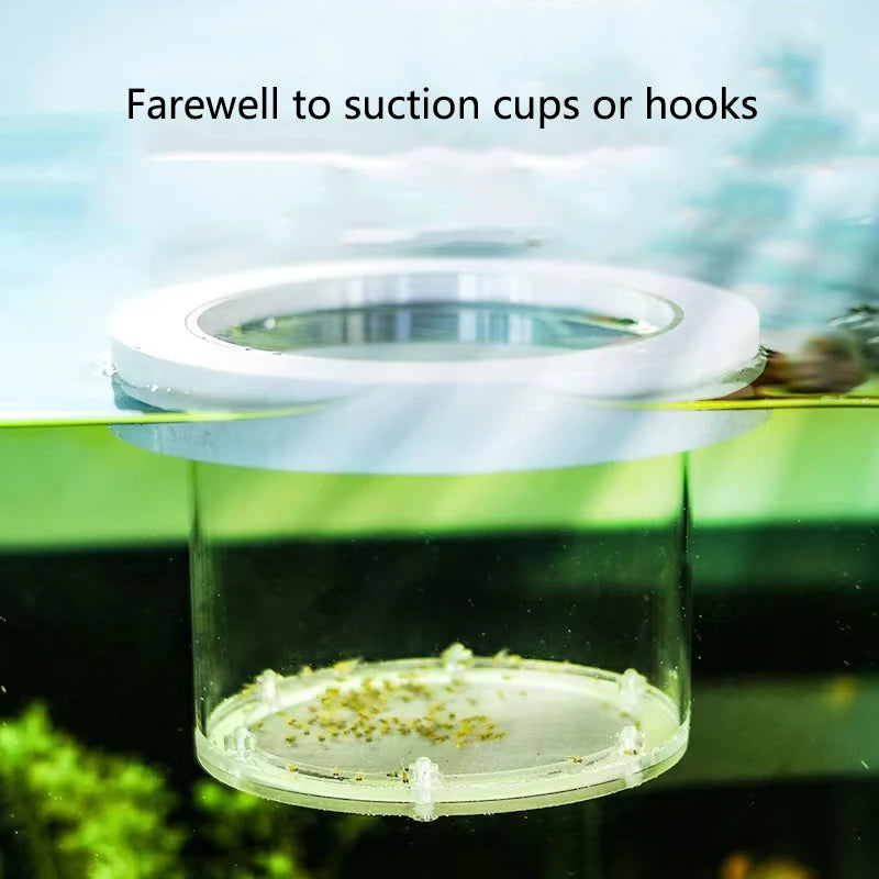 Aquarium Fish Breeding Isolation Box with Suction Cups