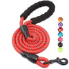 Red reflective nylon dog leash with a soft black handle and a multi-colored clip.