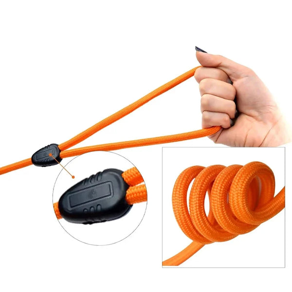 Laisse en Nylon Renforcée pour Rappel et Entraînement