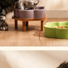Ceramic Slow Feeder Bowl for Cats and Small Dogs
