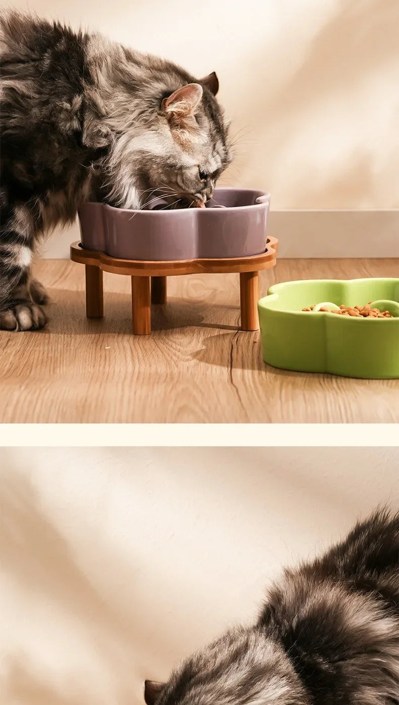 Ceramic Slow Feeder Bowl for Cats and Small Dogs