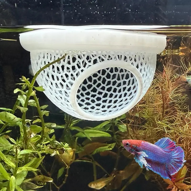 3-in-1 Floating Cave, Hammock, and Feeding Ring for Betta Fish and Shrimp